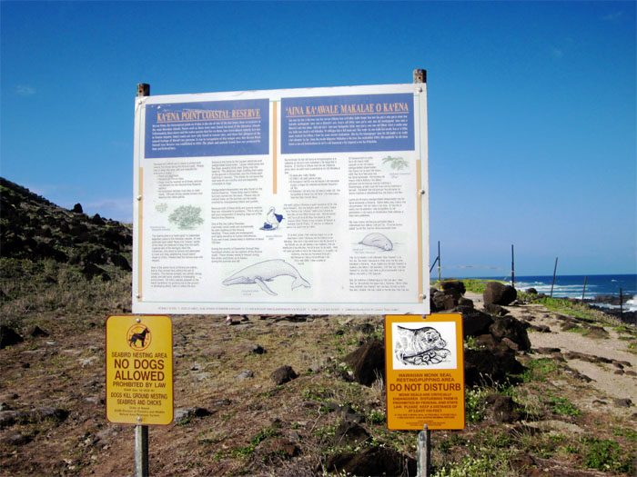 Kaena Point