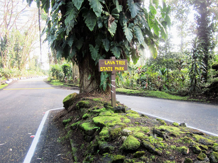 Post image for Lava Tree State Park, Punaluu Black Sand Beach, and South Point