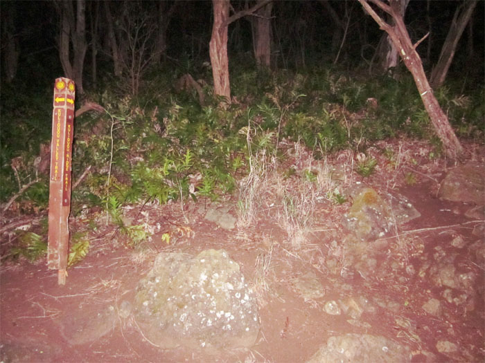 Trail Marker