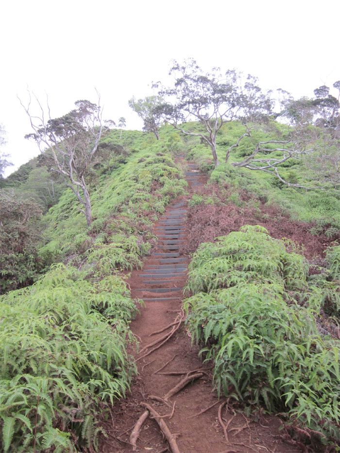 Stairs to the top