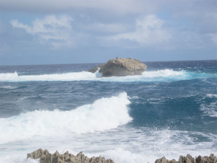 Mokualai Island