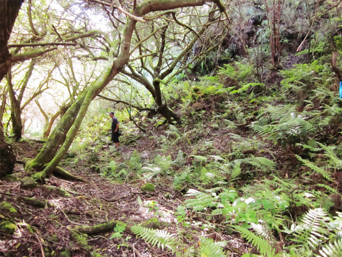 Riverbed