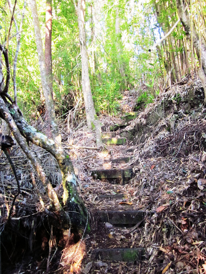 Steps to Mauna Kapu