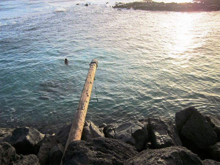 Swimming Pole