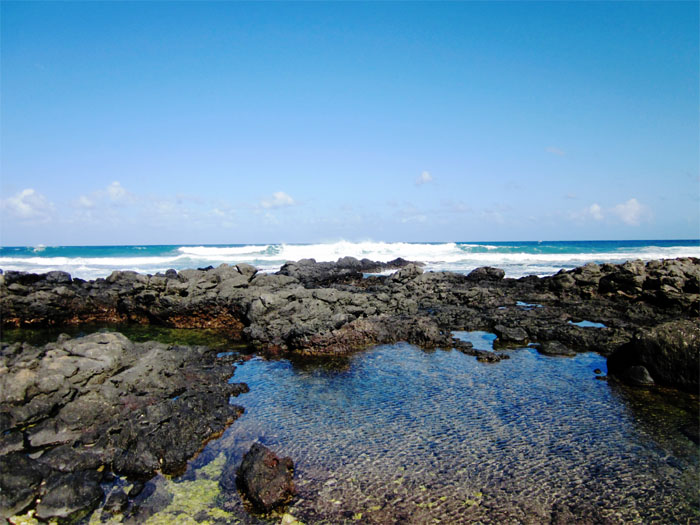 Tidepools